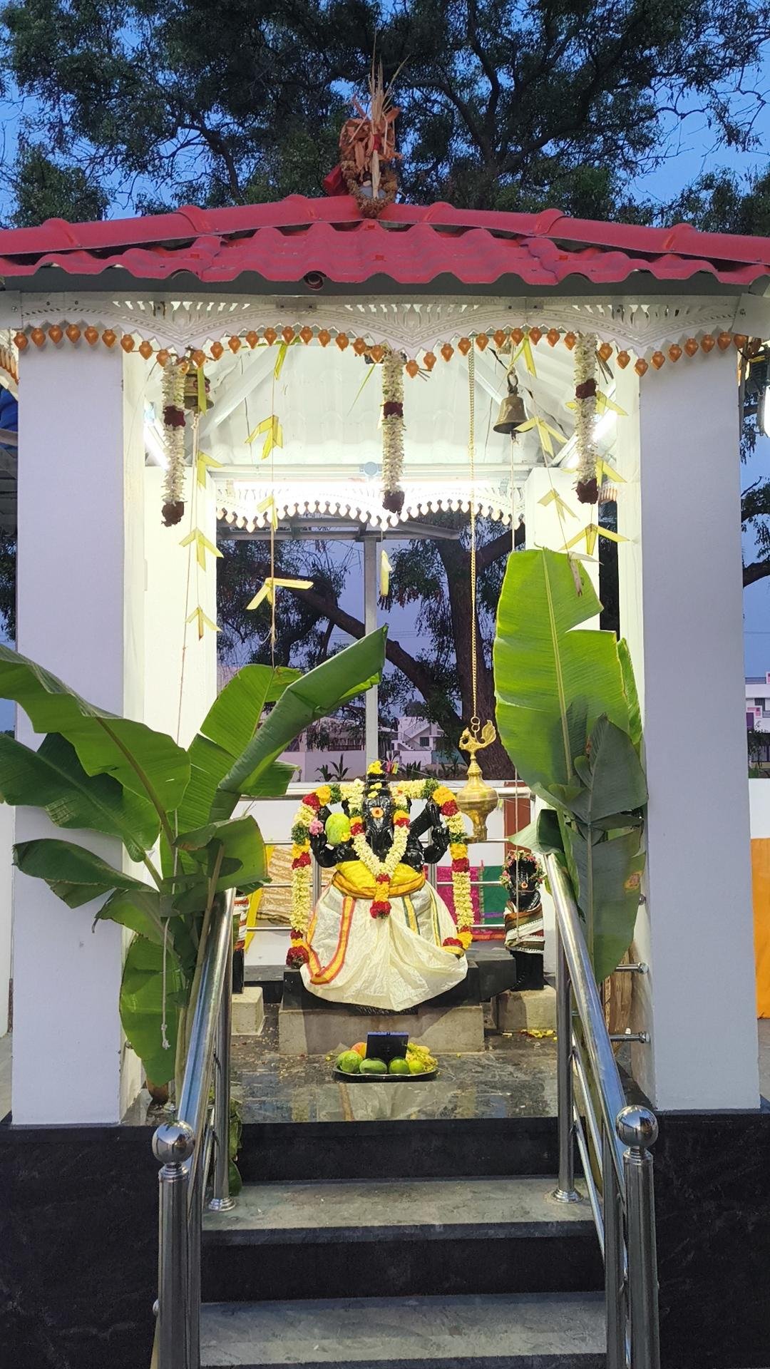 Gallery photo 19